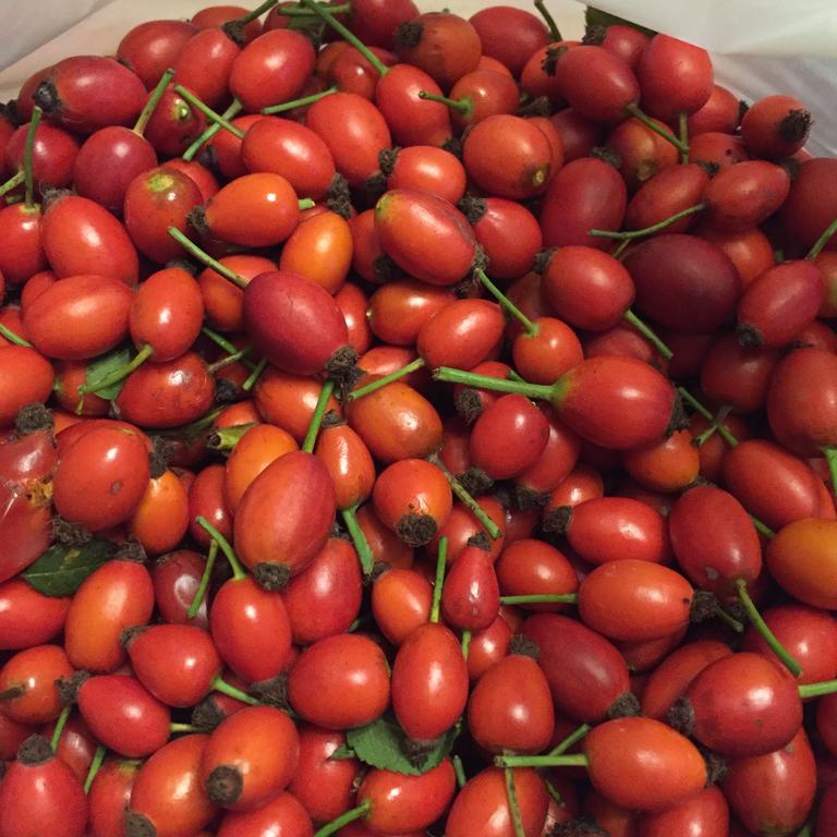 سان كاتالدو B&B Profumi Di Sicilia المظهر الخارجي الصورة